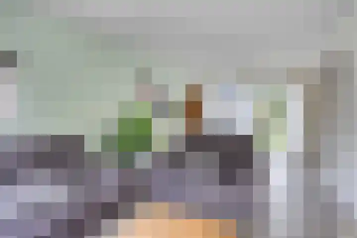 De Wilgen 8 Liempde thumbnail 5