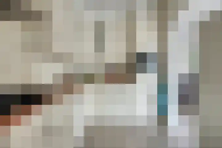 De Wilgen 8 Liempde thumbnail 9