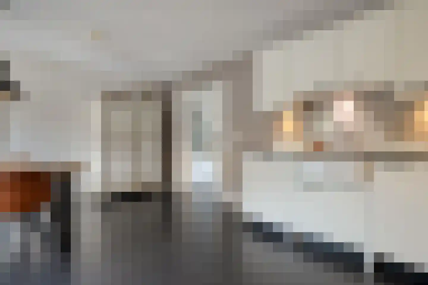 De Wilgen 9 Koekange thumbnail 12