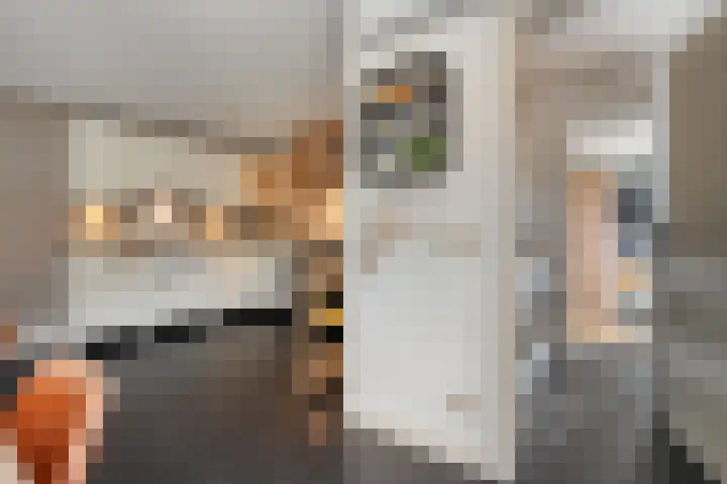 De Wilgen 9 Koekange thumbnail 13