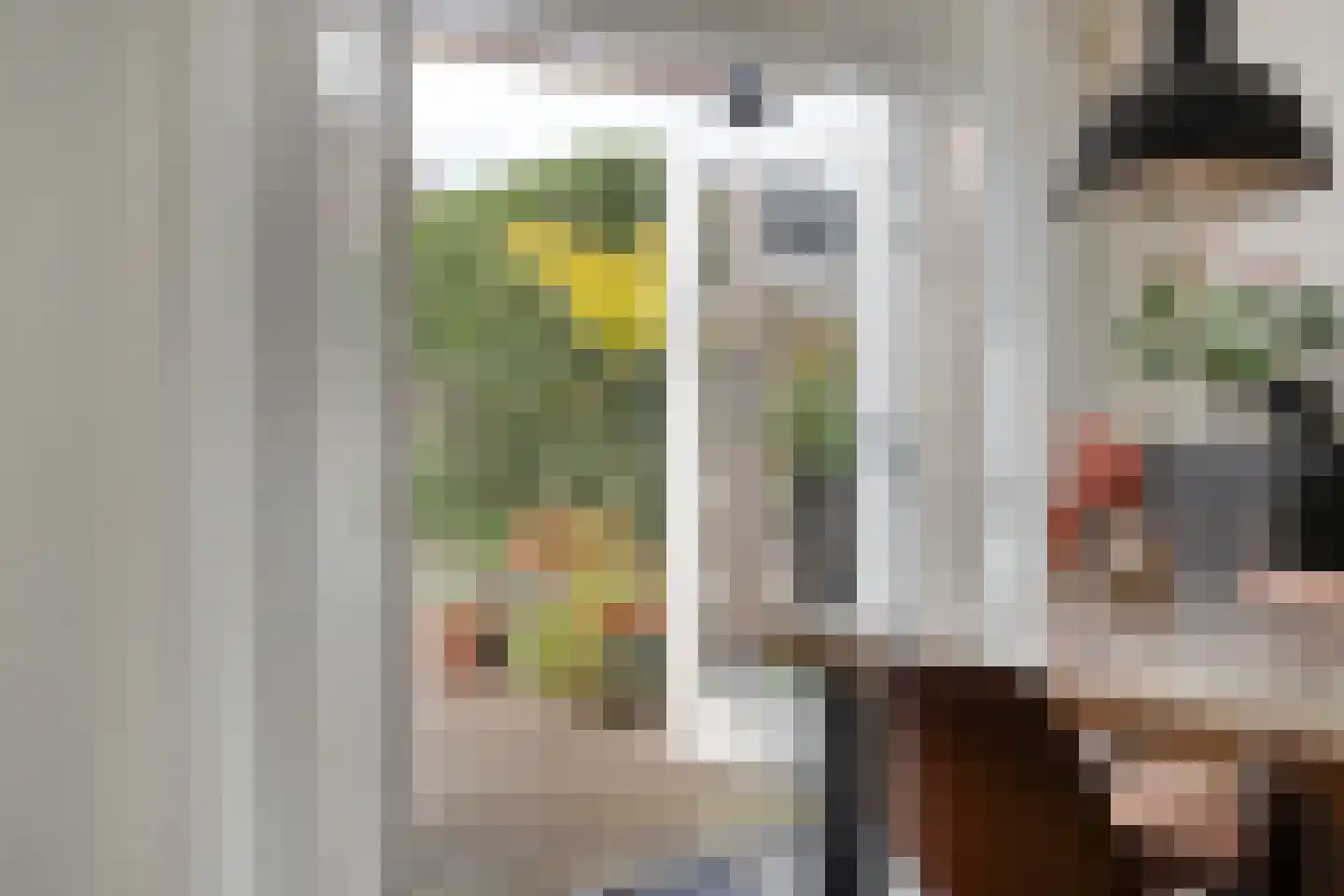 De Wilgen 9 Koekange thumbnail 15