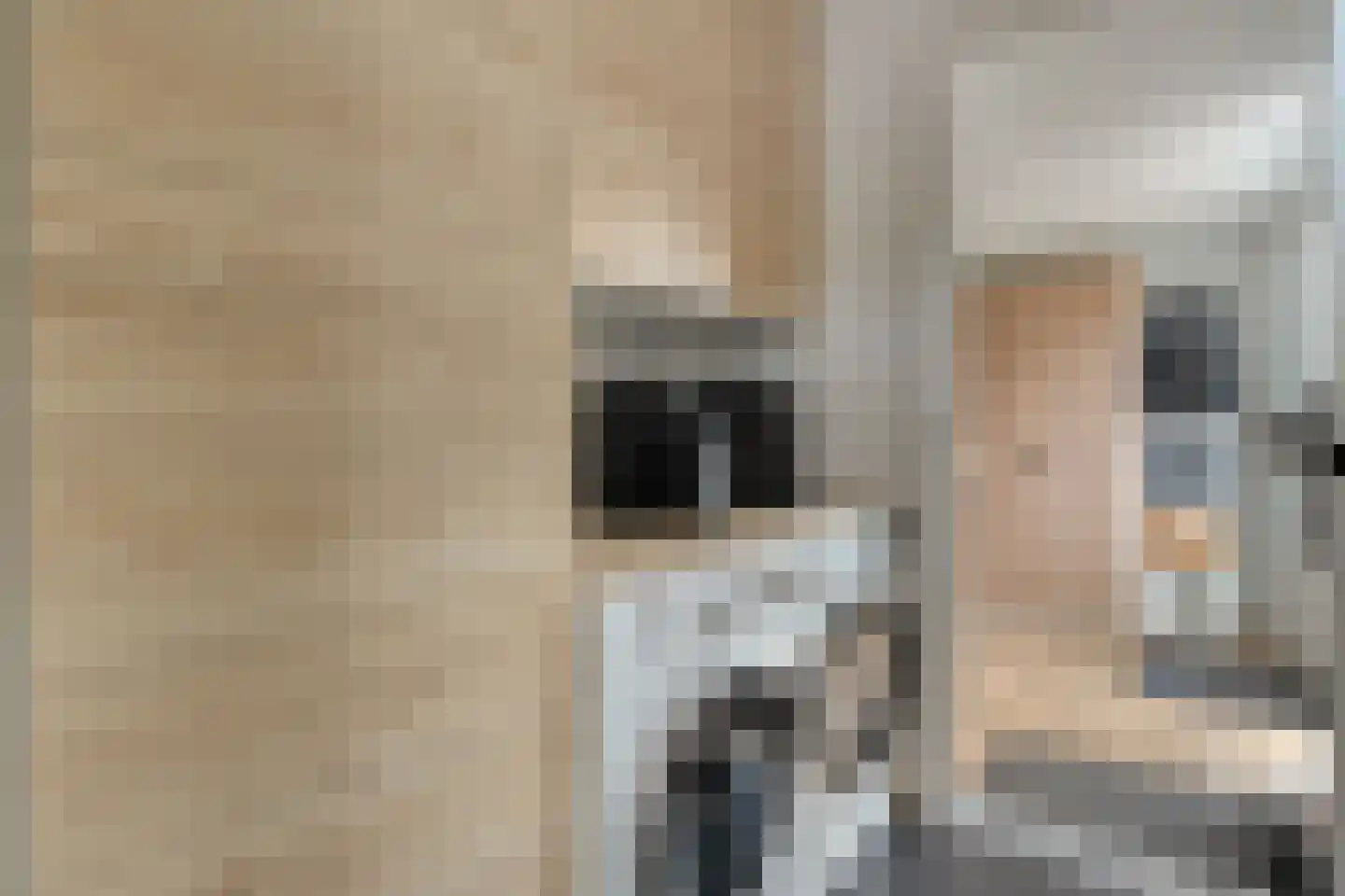 De Wilgen 9 Koekange thumbnail 17