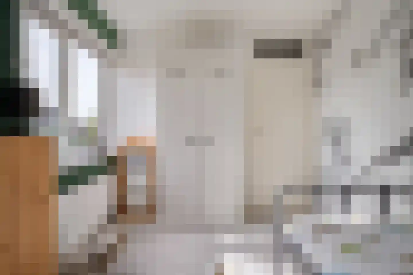 De Wilgen 9 Koekange thumbnail 29