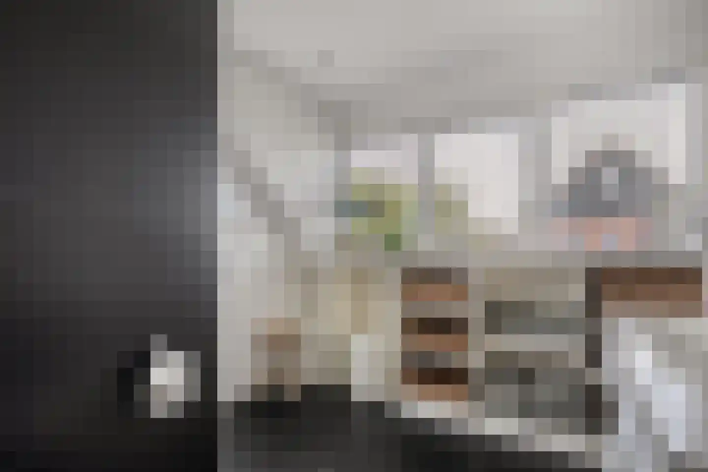 De Wilgen 9 Koekange thumbnail 33