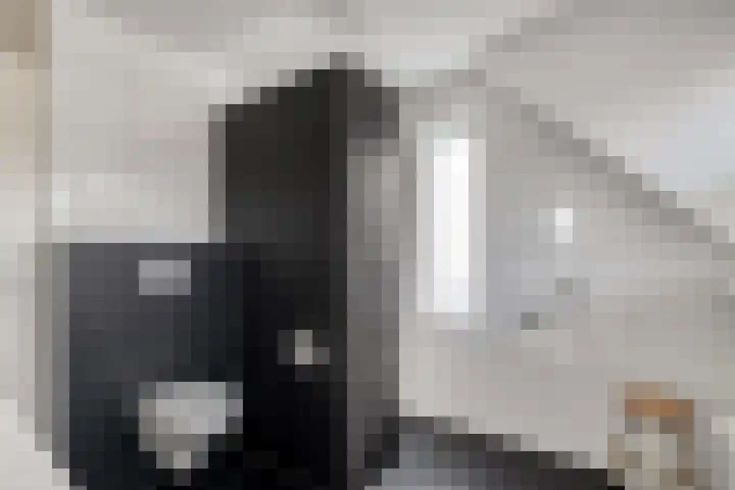 De Wilgen 9 Koekange thumbnail 34