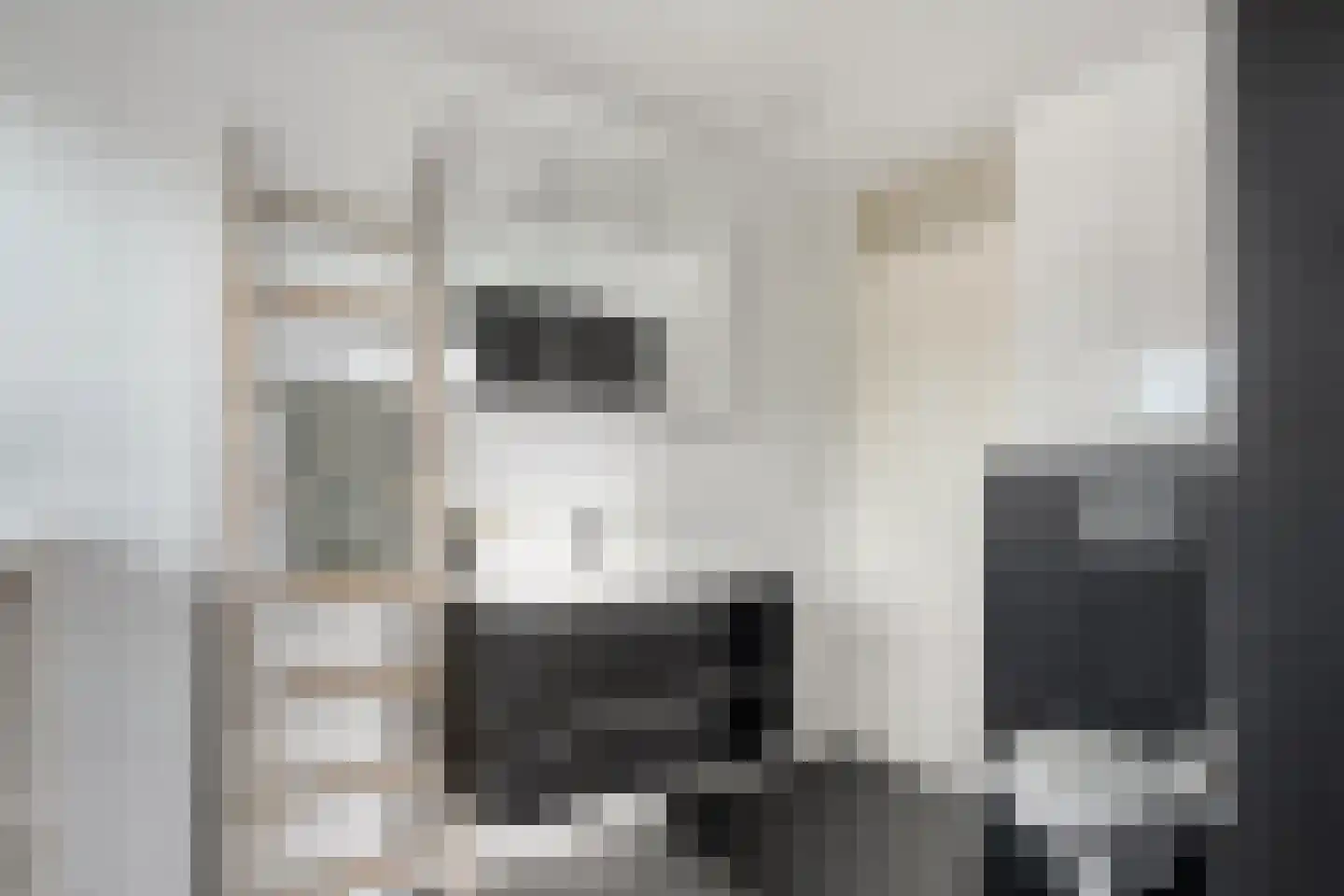 De Wilgen 9 Koekange thumbnail 35