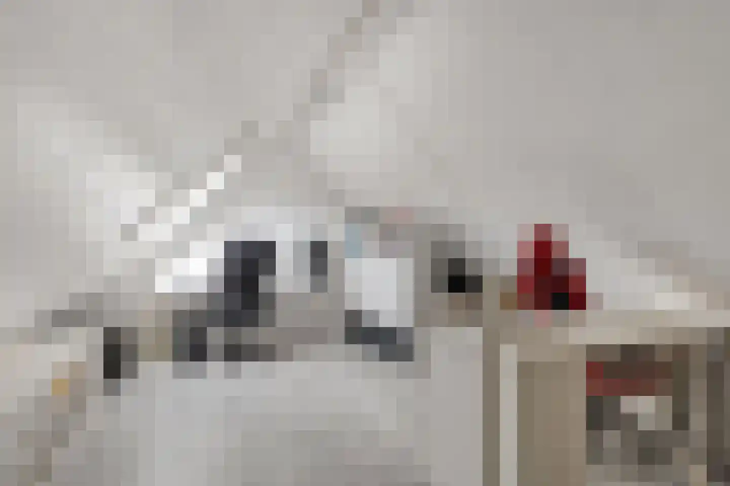 De Wilgen 9 Koekange thumbnail 37