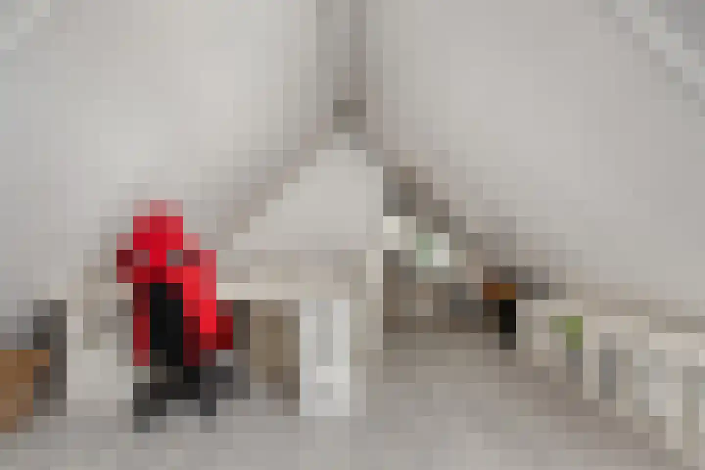 De Wilgen 9 Koekange thumbnail 38