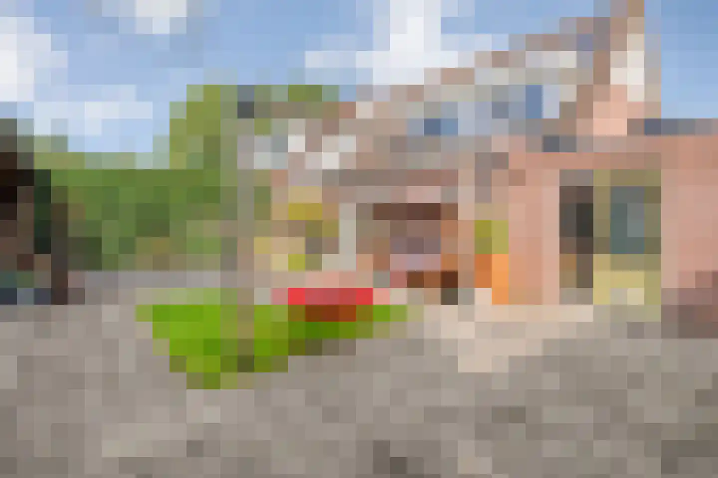De Wilgen 9 Koekange thumbnail 39
