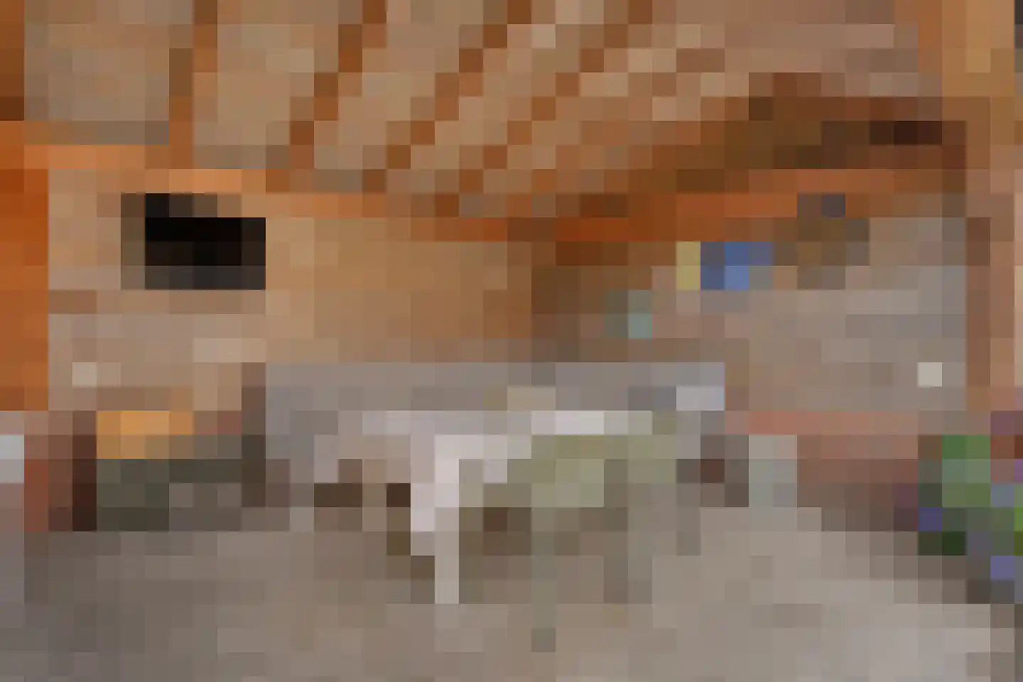 De Wilgen 9 Koekange thumbnail 42