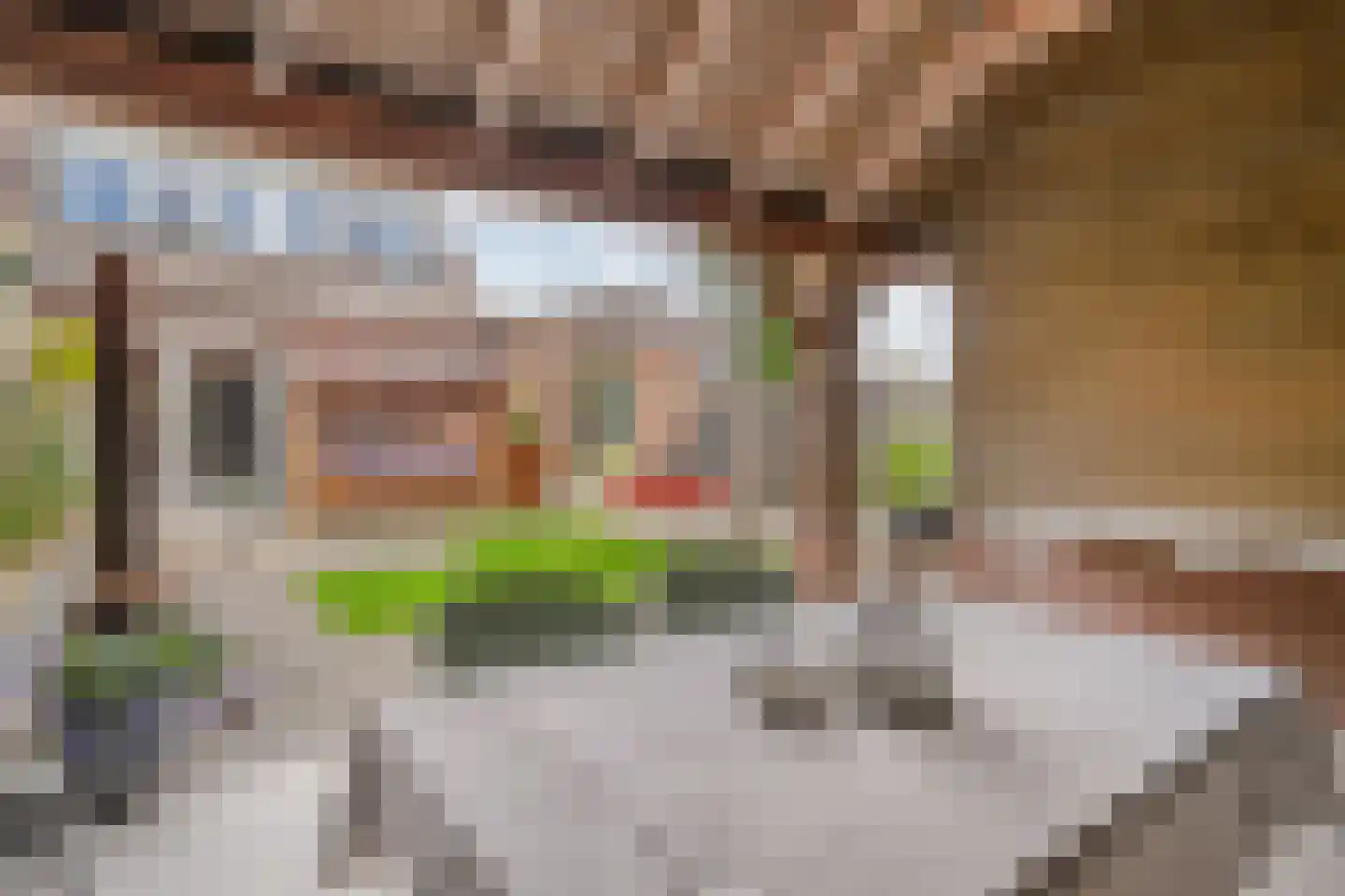 De Wilgen 9 Koekange thumbnail 44