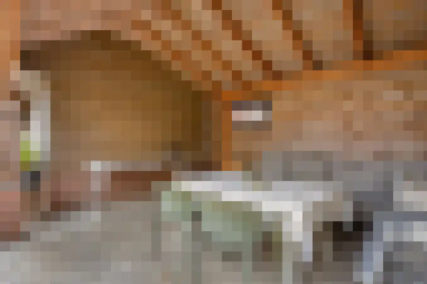 De Wilgen 9 Koekange thumbnail 45