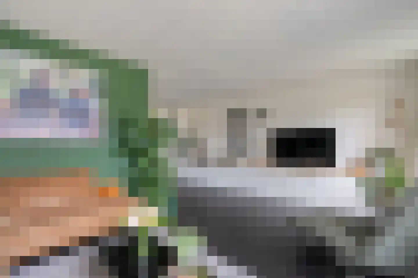 De Wilgen 9 Koekange thumbnail 6