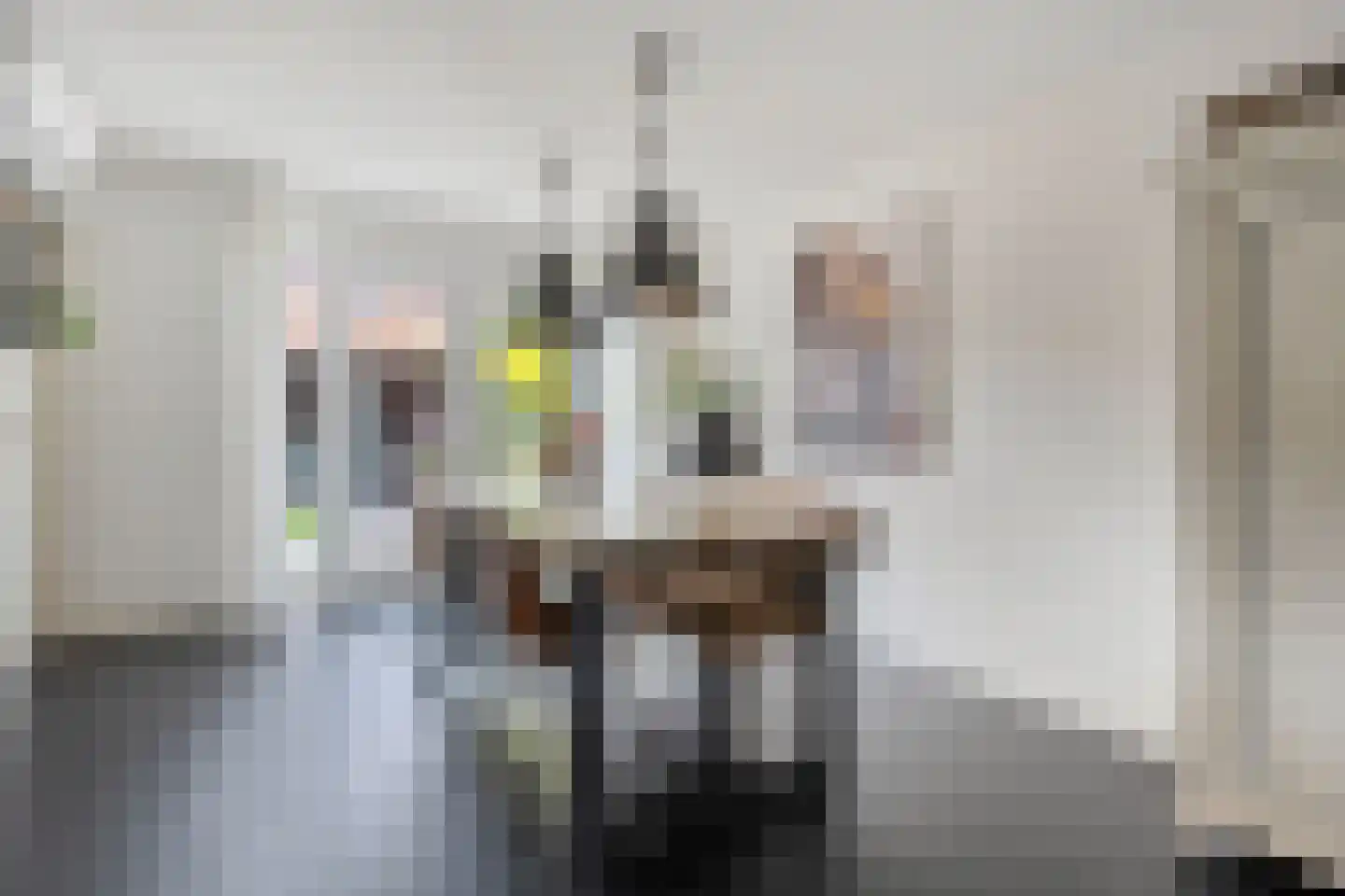 De Wilgen 9 Koekange thumbnail 9