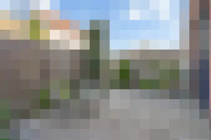 De Willem Ruysstraat 43 Vlissingen thumbnail 26