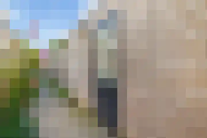 De Willem Ruysstraat 43 Vlissingen thumbnail 29