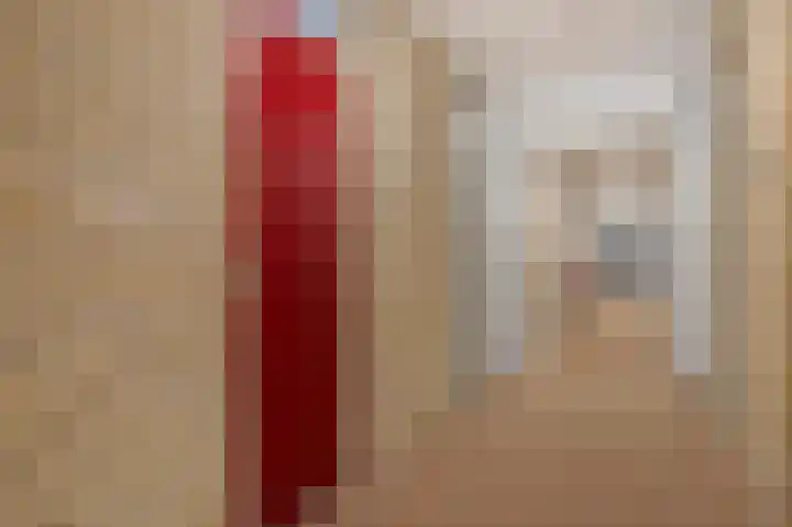 de Wilmskamp 115 Hengelo thumbnail 14