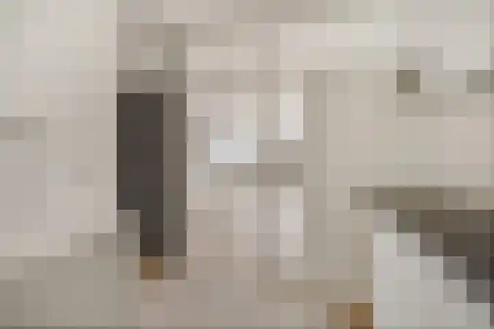 de Wilmskamp 115 Hengelo thumbnail 24