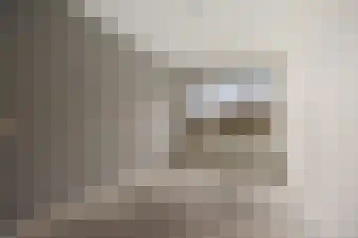 de Wilmskamp 115 Hengelo thumbnail 25