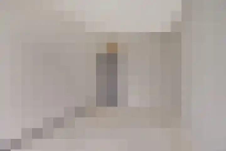 de Wilmskamp 115 Hengelo thumbnail 27