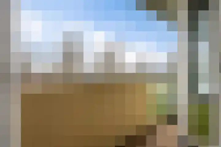 de Wilmskamp 115 Hengelo thumbnail 34