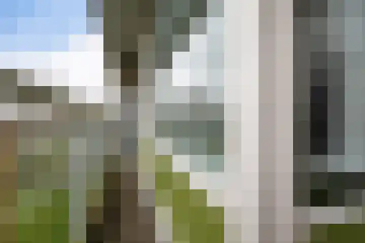 de Wilmskamp 115 Hengelo thumbnail 35