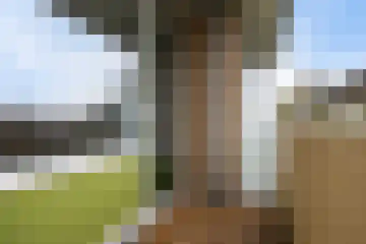 de Wilmskamp 115 Hengelo thumbnail 36