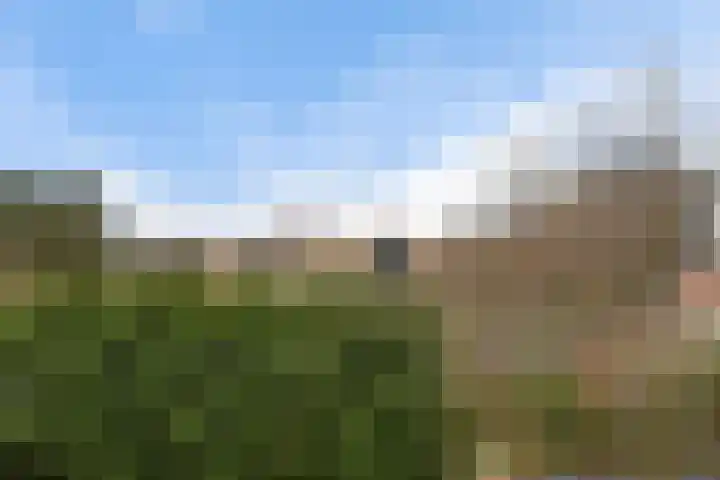 de Wilmskamp 115 Hengelo thumbnail 37