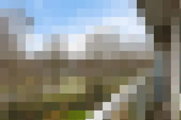 de Wilmskamp 115 Hengelo thumbnail 38