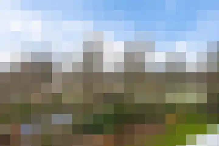 de Wilmskamp 115 Hengelo thumbnail 39