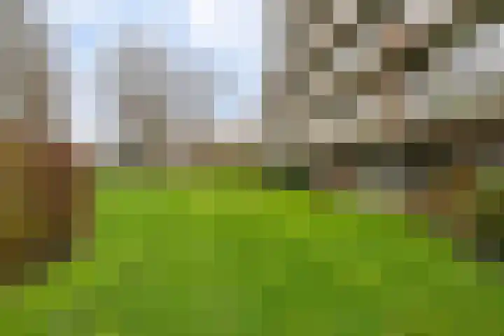 de Wilmskamp 115 Hengelo thumbnail 40
