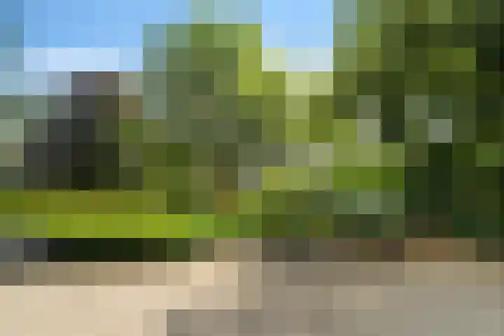 de Wilmskamp 115 Hengelo thumbnail 42