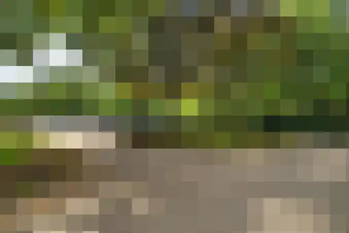 de Wilmskamp 115 Hengelo thumbnail 43