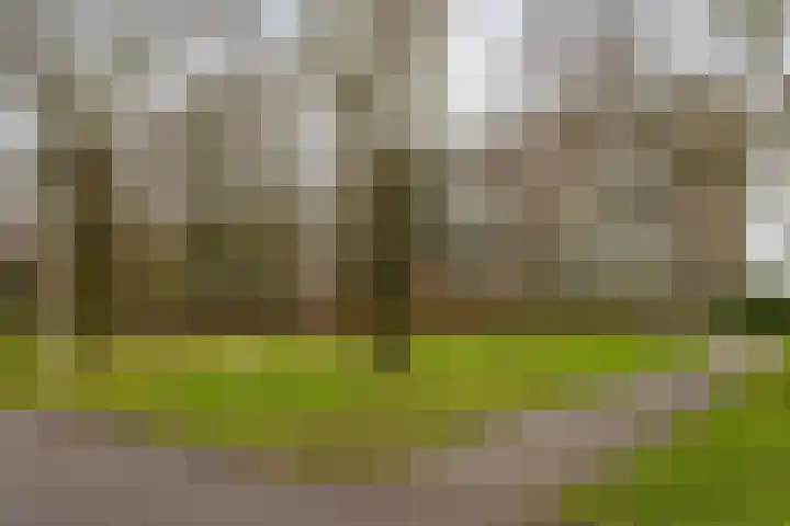 de Wilmskamp 115 Hengelo thumbnail 5