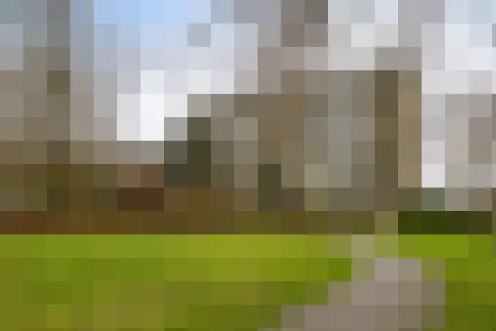 de Wilmskamp 115 Hengelo thumbnail 6