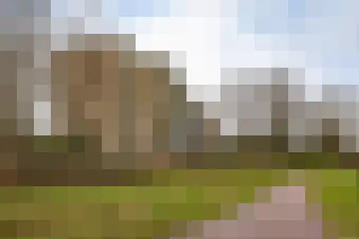 de Wilmskamp 115 Hengelo thumbnail 7