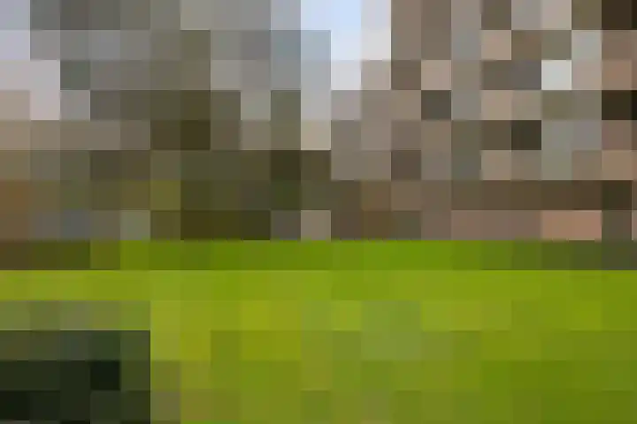 de Wilmskamp 115 Hengelo thumbnail 8