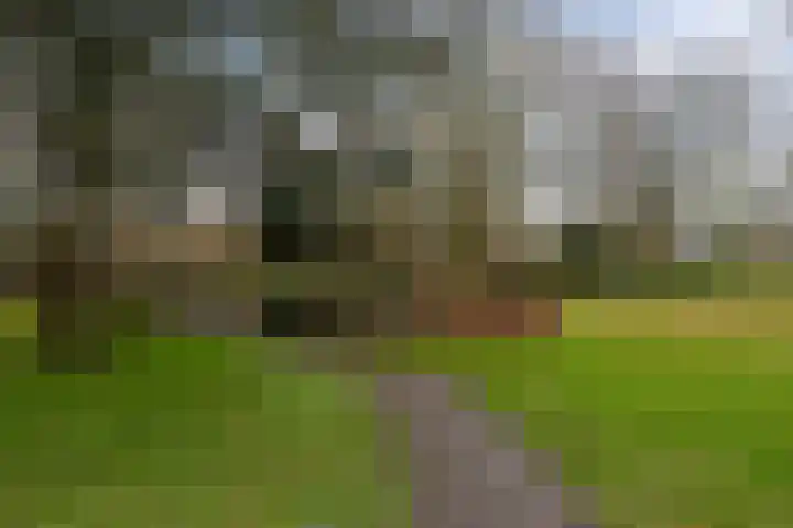 de Wilmskamp 115 Hengelo thumbnail 9
