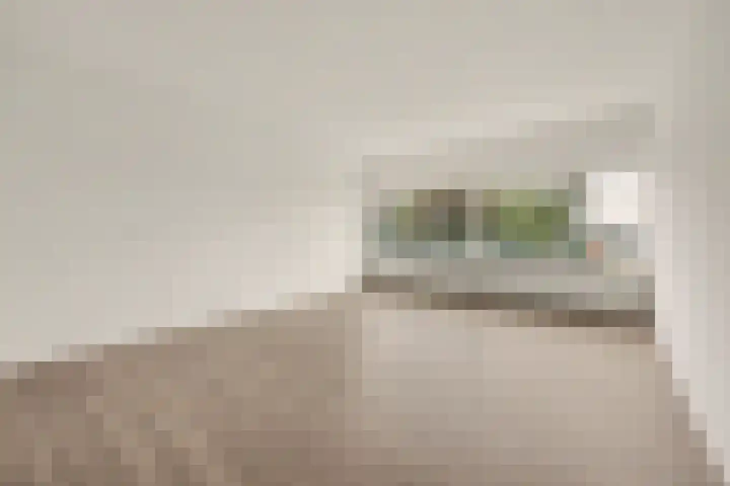 de Wilmskamp 121 Hengelo thumbnail 11