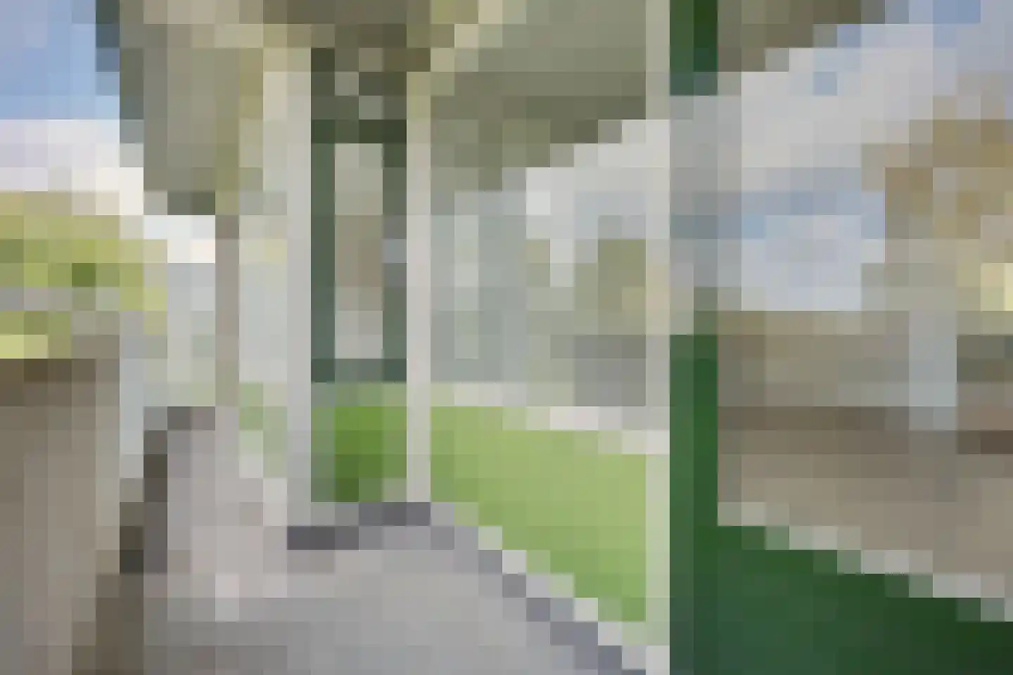 de Wilmskamp 121 Hengelo thumbnail 15