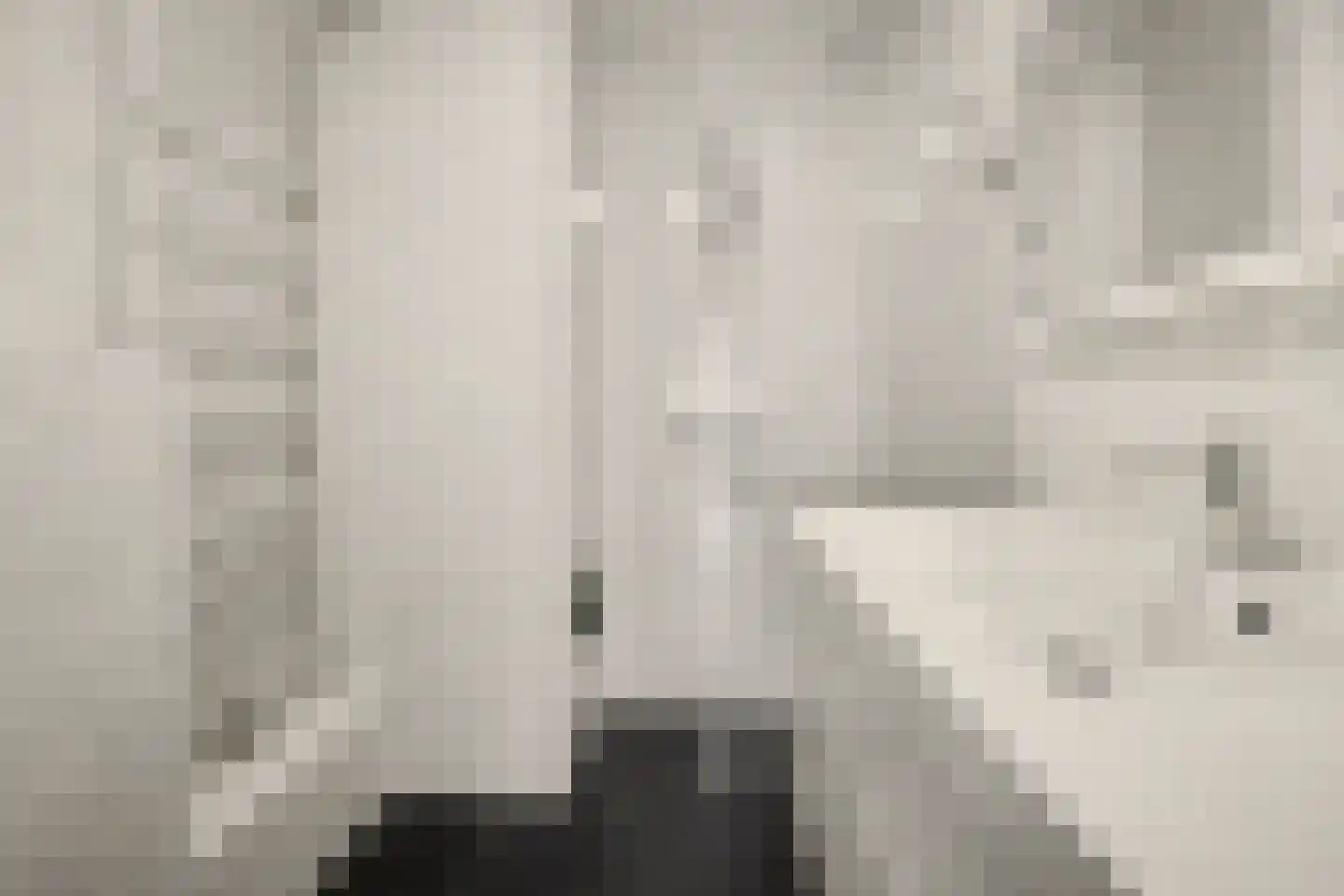 de Wilmskamp 121 Hengelo thumbnail 17