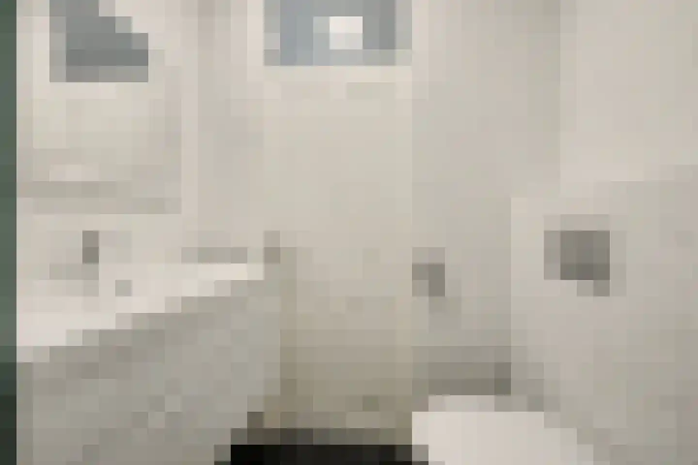 de Wilmskamp 121 Hengelo thumbnail 18