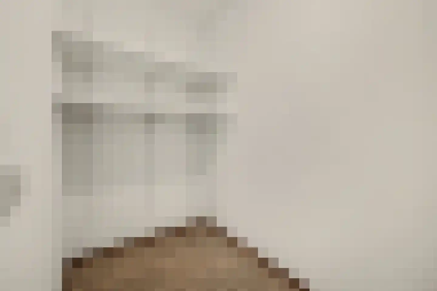 de Wilmskamp 121 Hengelo thumbnail 20