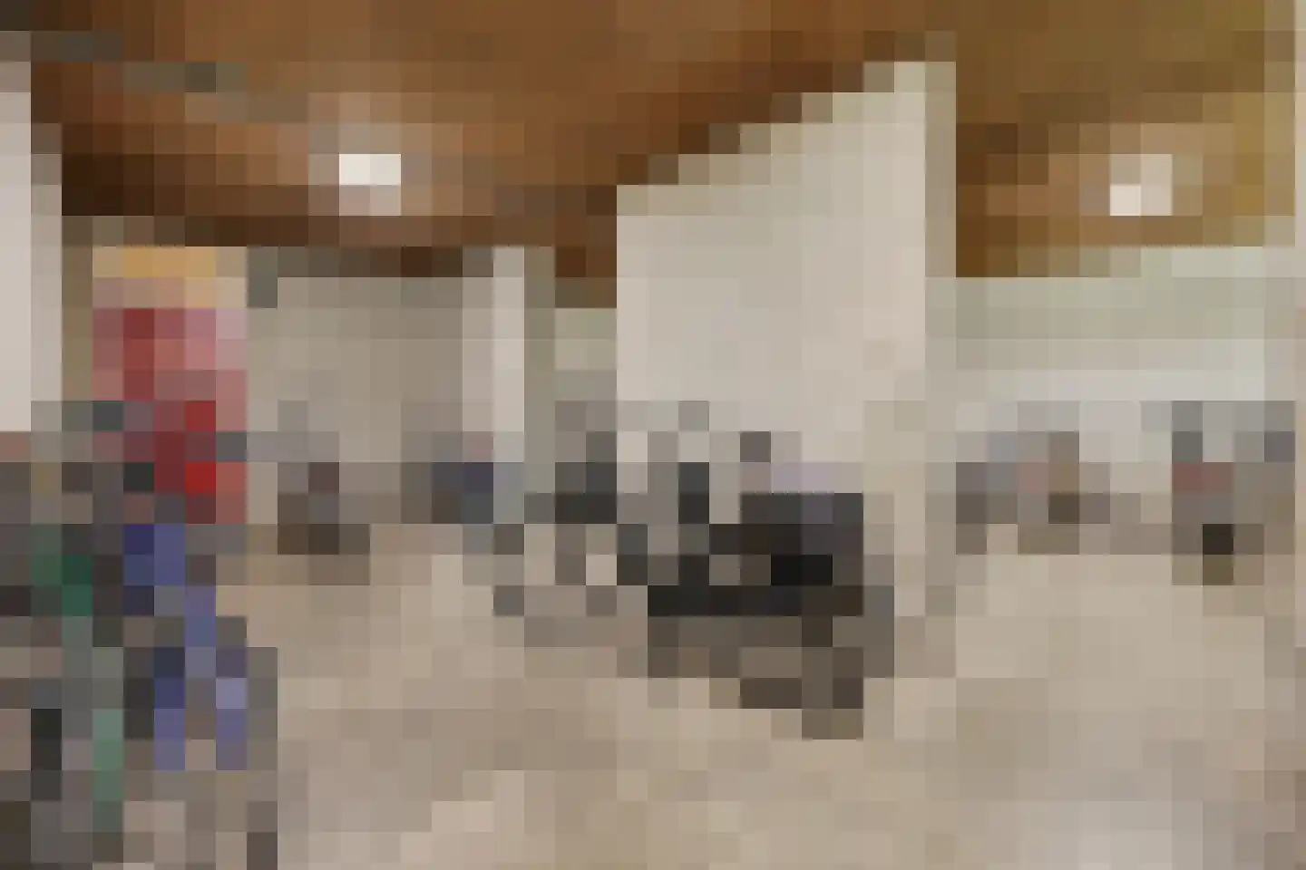 de Wilmskamp 121 Hengelo thumbnail 22