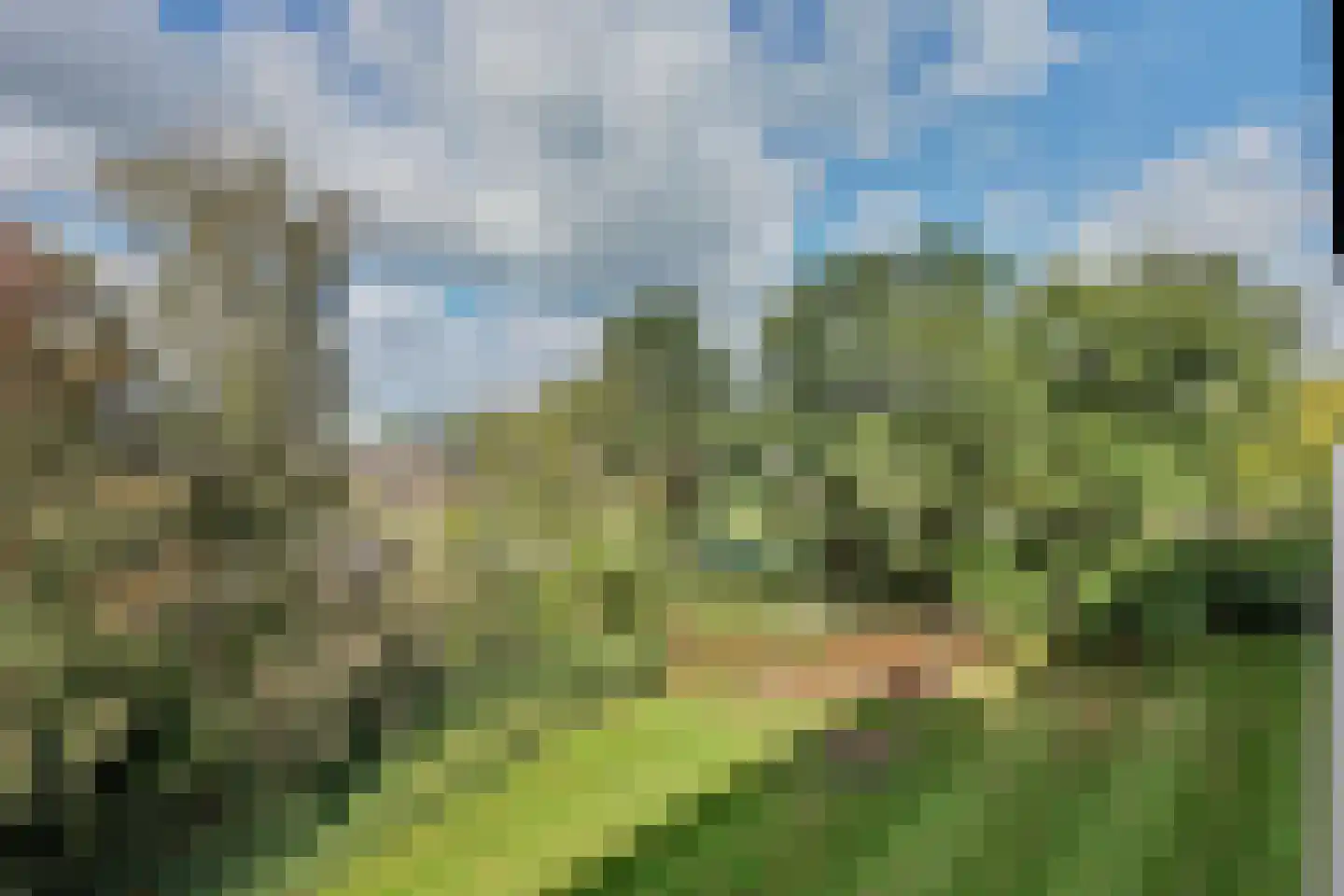 de Wilmskamp 121 Hengelo thumbnail 24