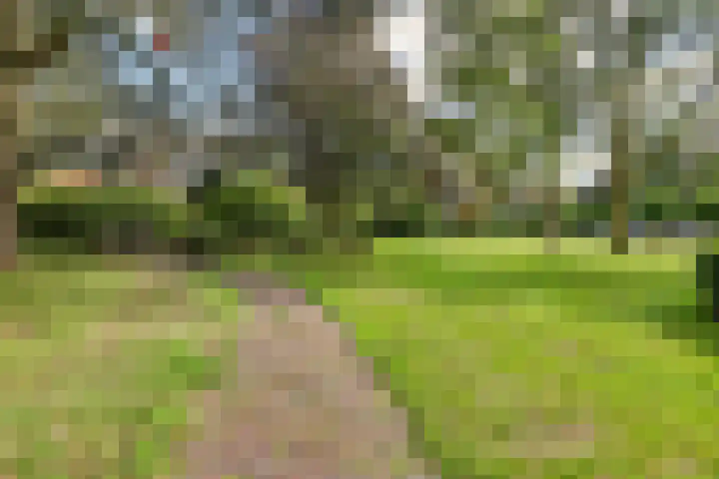 de Wilmskamp 121 Hengelo thumbnail 25