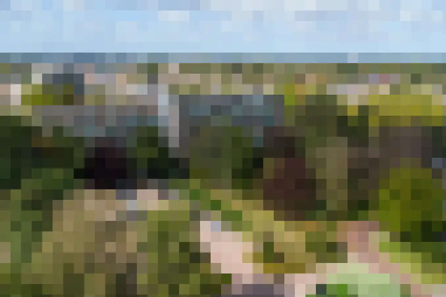 de Wilmskamp 121 Hengelo thumbnail 26