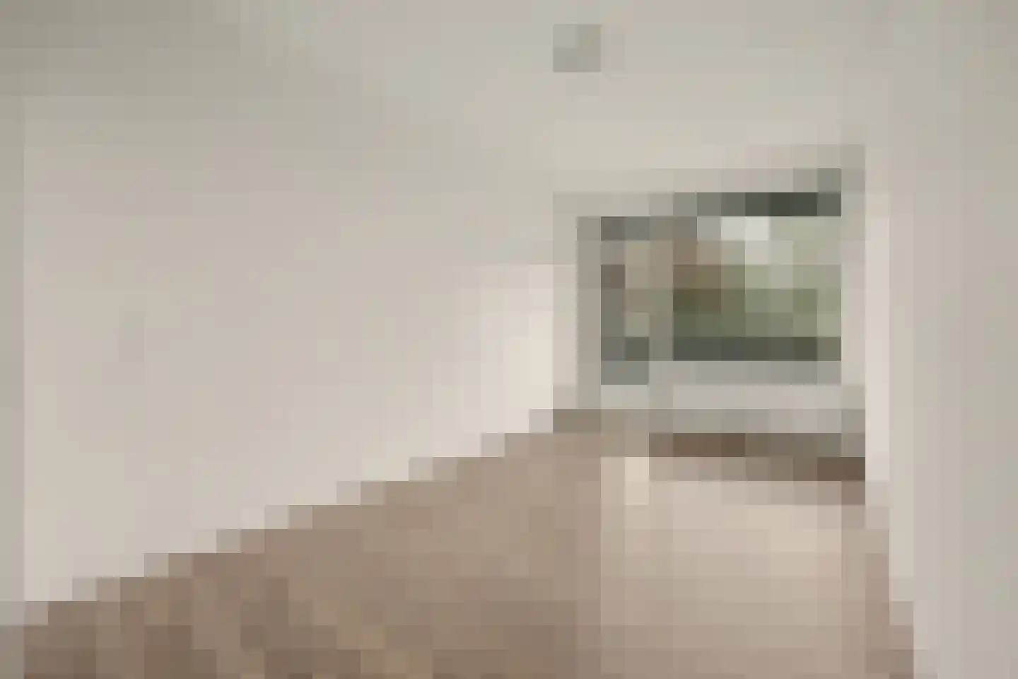 de Wilmskamp 121 Hengelo thumbnail 7