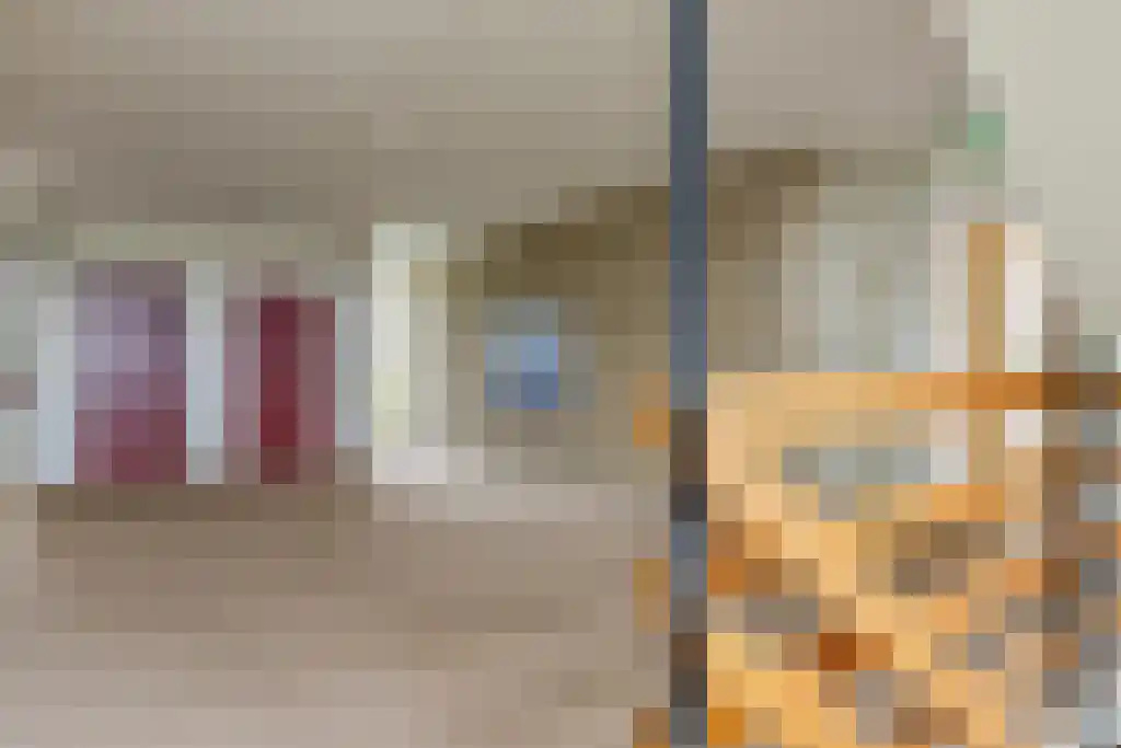 de Wilmskamp 145 Hengelo thumbnail 11