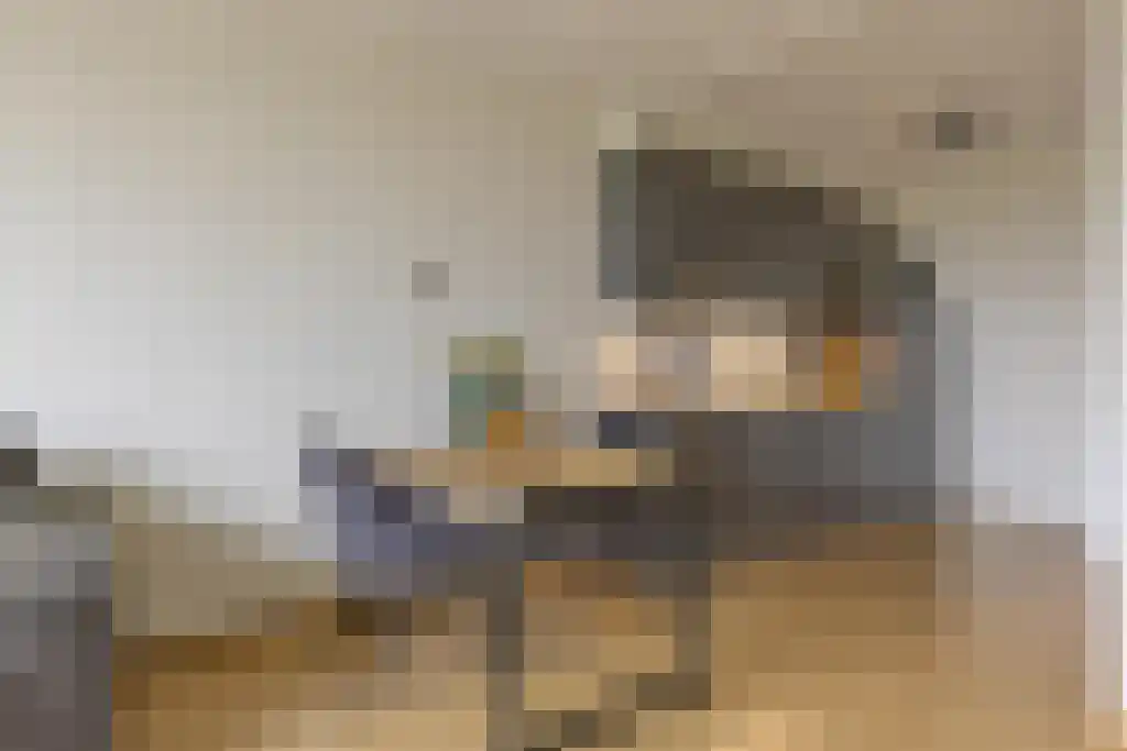 de Wilmskamp 145 Hengelo thumbnail 16